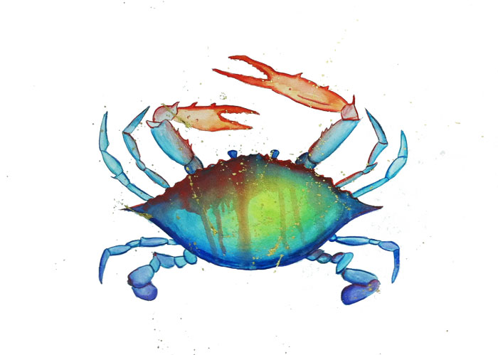 Rainbow Crabwatercolor on paper24" x 18"