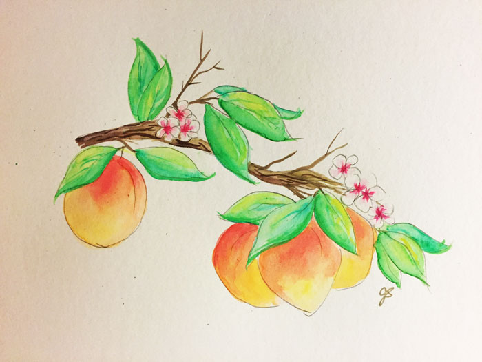 Peach Tree Branch9" x 12"watercolor on paper
