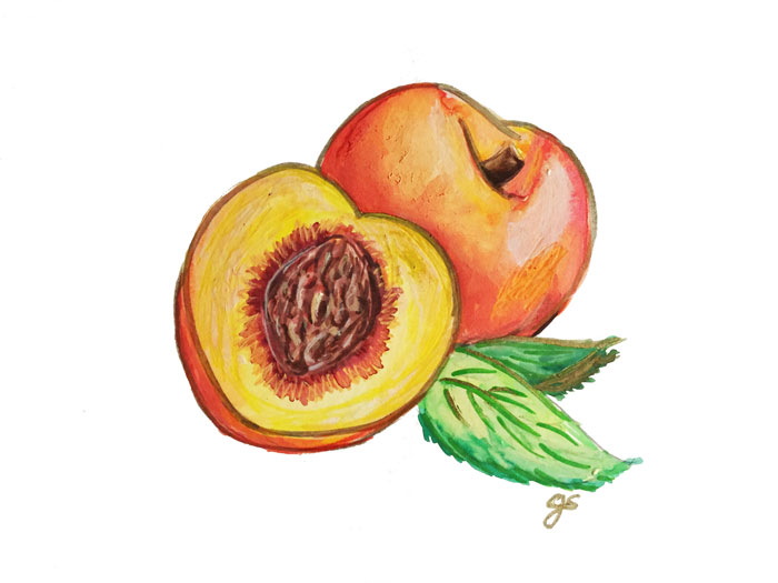 Pair of Peaches9" x 12"watercolor on paper 