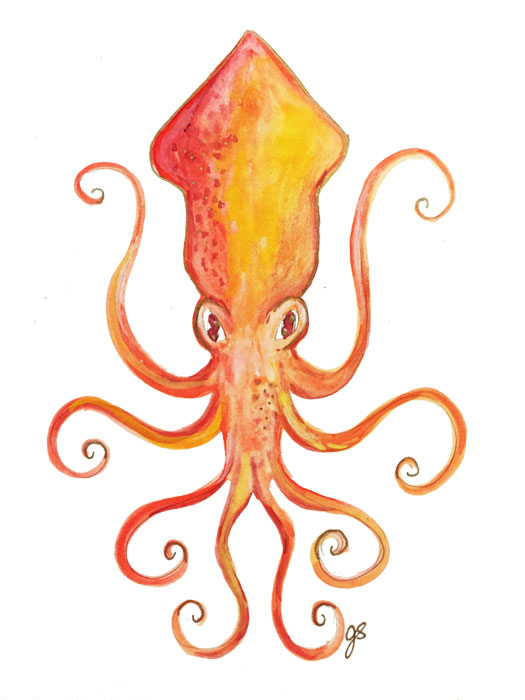 Squid9" x 12"watercolor on paper 